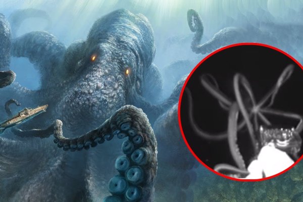 Http kraken