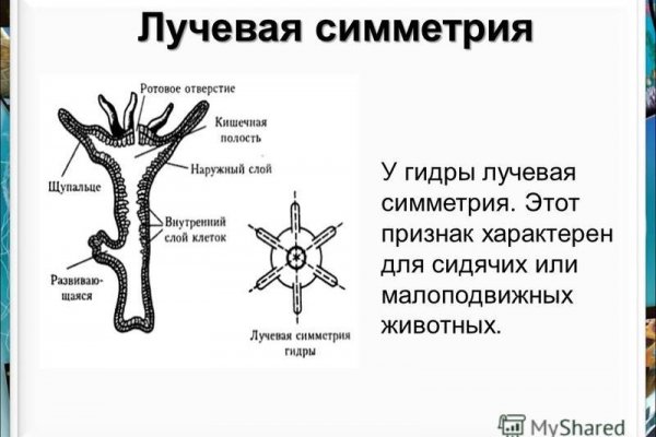 Кракен войти